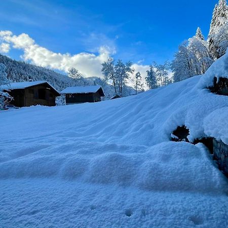 Chalet Birdie ル・グラン・ボルナン エクステリア 写真
